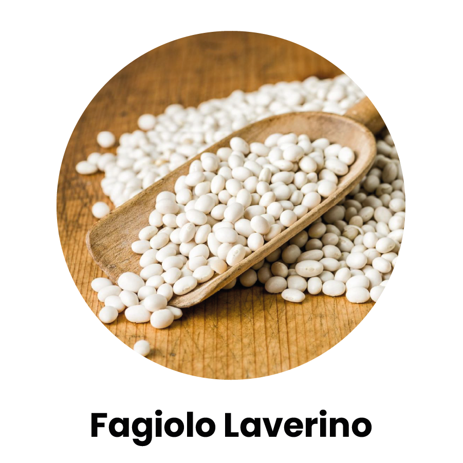 Immagine del fagiolo laverino dentro un tondo - "Fagiolo laverino"